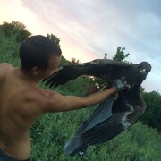 ���������� ���������, ���� ������� ���������, 27 ���, ������������ ��� ������, ����� � ���������