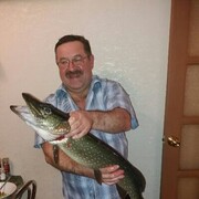 ���������� ������, ������� �������, 54