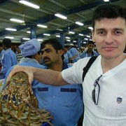 ���������� ������, ���� ������� Roman, 47 ���, ������������ ��� ������, ����� � ���������, c�������� ���������, ���������