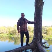 ���������� �������������, ���� ������� ���������, 41 ���, ������������ ��� ������, ����� � ���������