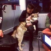 ���������� �����-���������, ���� ������� ���������, 30 ���, ������������ ��� ����� � ���������, c�������� ���������