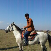 ���������� ������, ���� ������� ����, 38 ���, ������������ ��� ���������