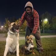 ���������� ������, ���� ������� �����, 43 ����, ������������ ��� c�������� ���������