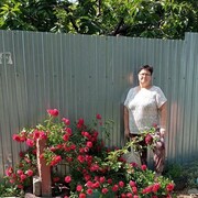 ���������� �������, ���� ������� �����, 51 ���, ������������ ��� ����� � ���������, c�������� ���������, ���������