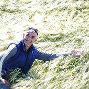 ���������� ������, ���� ������� ������, 42 ����, ������������ ��� c�������� ���������