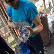 ���������� �������, ���� ������� �����, 59 ���, ������������ ��� ������, ����� � ���������, c�������� ���������