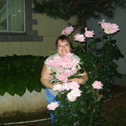  ,   , 53 ,     , c 