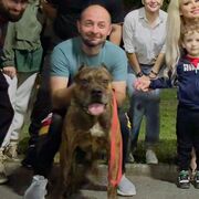 ���������� ���������, ���� ������� �������, 36 ���, ������������ ��� ������, ����� � ���������, c�������� ���������, ���������