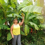  ,   , 72 ,     , c , 