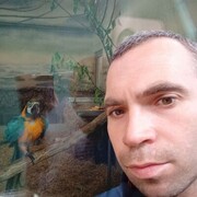  ,   , 33 ,     , c , 