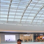 ,   Boss, 29 ,   ,   