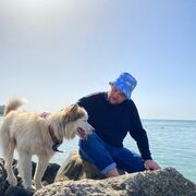 ���������� ���������, ���� ������� �������, 29 ���, ������������ ��� ������, ����� � ���������, c�������� ���������, ���������