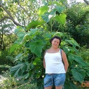 ���������� ������, ���� ������� �����, 44 ����, ������������ 