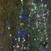 ���������� �����-���������, ���� ����� �����, 19 ���, ������������ ��� ������, ����� � ���������