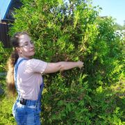 ���������� ������, ���� ������� ���, 27 ���, ������������ ��� ������, ����� � ���������