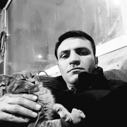 ���������� ���������, ���� ������� ������, 41 ���, ������������ ��� ������, ����� � ���������, c�������� ���������