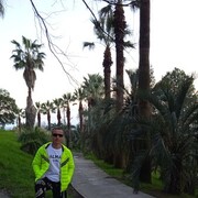 ���������� ����, ���� ������� ����, 39 ���, ������������ ��� ������, ����� � ���������