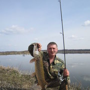 ���������� �����, ���� ������� �������, 39 ���, ������������ ��� ������