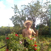 ���������� ��������, ���� ������� �������, 47 ���, ������������ ��� ����� � ���������, c�������� ���������