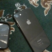 ���������� ��������, ���� ������� �����, 31 ���, ������������ ��� ������, ����� � ���������, c�������� ���������