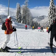 ���������� ����������, ���� ������� ���������, 41 ���, ������������ ��� ������, ����� � ���������