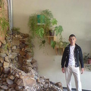  ,  DAVO, 32