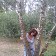  ,    , 37 ,   ,   , c 