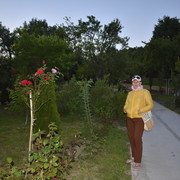 ,   , 59 ,   ,   , c 