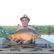 ���������� �������, ���� ������� �����, 40 ���, ������������ ��� ������