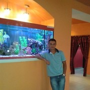  ,   , 43 ,     , c 