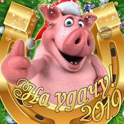  ,   , 44 ,     , c 