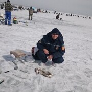 ���������� ������, ���� ������� ������, 48 ���, ������������ ��� ������, ����� � ���������, c�������� ���������