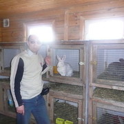 ���������� �������, ���� ������� �������, 61 ���, ������������ ��� ������, ����� � ���������, c�������� ���������