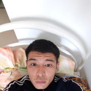  ,   Zamir, 33 ,   ,   , c 