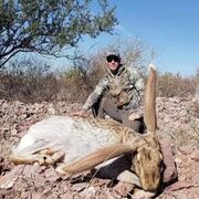 ���������� ������������, ������� ������, 39