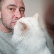 ���������� ������, ���� ������� �����, 39 ���, ������������ ��� ������