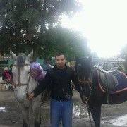  ,   , 38 ,   