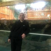 ���������� �������, ���� ������� �������, 49 ���, ������������ ��� ������, ����� � ���������, c�������� ���������, ���������