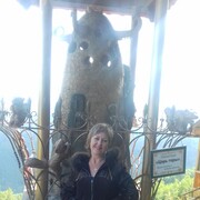  ,   , 49 ,  