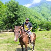 ���������� ������, ���� ������� ������, 45 ���, ������������ ��� ������, ����� � ���������, c�������� ���������, ���������