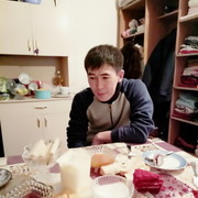 ���������� ������, ���� ������� Dauren, 38 ���, ������������ ��� ������, ����� � ���������, c�������� ���������