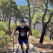 ���������� ��������, ���� ������� �������, 43 ����, ������������ ��� ����� � ���������, c�������� ���������