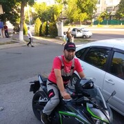 ���������� �������, ���� ������� Alisher, 40 ���, ������������ ��� ������, ����� � ���������, c�������� ���������