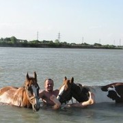 ���������� ���������, ���� ������� �������, 48 ���, ������������ 