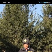  -,   , 57 ,   ,   , c 