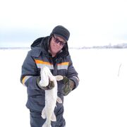  ,   , 56 ,     