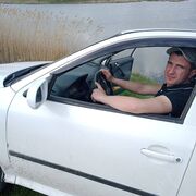  ,   Slavic, 31 ,   ,   