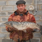 ���������� �������, ���� ������� ������, 48 ���, ������������ ��� ������, ����� � ���������, c�������� ���������