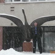 ���������� �������, ���� ������� �����, 44 ����, ������������ ��� ������, ����� � ���������, c�������� ���������