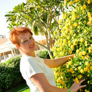 ���������� �����, ���� ������� ����, 56 ���, ������������ ��� ������, ����� � ���������, c�������� ���������